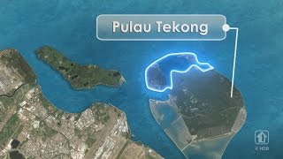 Polder Development at Pulau Tekong [upl. by Sanderson549]