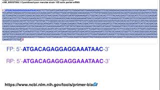 Polymerase Chain Reaction  Biotechnology Principles and Processes  Class 12 Biology 202223 [upl. by Malorie]