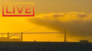 🔴 San Francisco Skyline LIVE · hosted by Mersea Restaurant 🌴 Treasure Island [upl. by Elrebmik88]