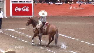 Las 5 Mejores Calas de Caballo  Campeonato Arena Vallarta 2015 [upl. by Mosi]