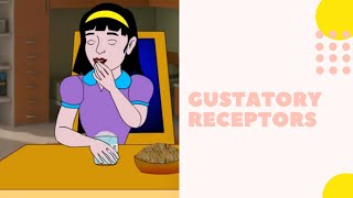 Gustatory Receptors  Science Animation [upl. by Tiduj338]