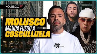 “Concentrate en lo tuyo” Molusco manda fuego a Cosculluela  Don Omar envía MENSAJE AUTORIZADO [upl. by Ahseila326]