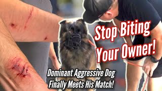 Aggressive amp Dominant GSD Attacks Trainer AND FINALLY MEETS HIS MATCH [upl. by Kristos]