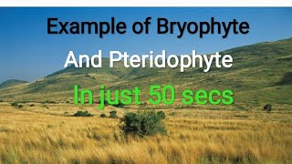 Learn Example of Bryophyte and Pteridophyte with Mnemonics  NEETOUAT Other exams shorts Kaibalya [upl. by Nyrat]