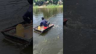 Amazing river fishing [upl. by Abran]