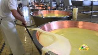 Ciclo produttivo del Parmigiano Reggiano [upl. by Amees]