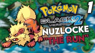 The Greatest Pokemon Black 2 Nuzlocke Run Ive Done  Part 1 [upl. by Lobell]