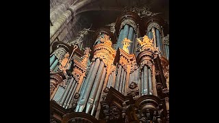 Choral quotAlle Menschen müssen sterben fredquot Frédéric Muñoz à lOrgue de la Cathédrale de Rodez [upl. by Allehc916]