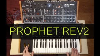 Prophet Rev2 ReviewDemo no talking  playing through presets [upl. by Ahsa]