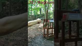 357 Magnum VS 44 Magnum Recoil [upl. by Weirick]