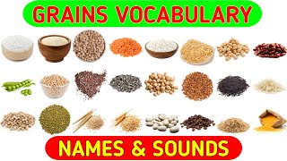 Grains Vocabulary  Learn Grains Seeds amp Cereals Name in English With Pictures [upl. by Dnana253]