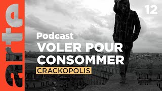 Le vol  Crackopolis  ARTE Radio Podcast [upl. by Nireves]