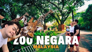 Zoo Negara Kuala Lumpur Walking Tour around this National Zoo of Malaysia  Travel [upl. by Ahsaele624]