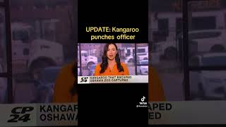 Kangaroo punches Police Officer 👮‍♀️funny wow fyp [upl. by Acinorehs]