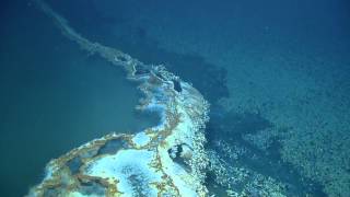 Discovering a Brine Pool  Nautilus Live [upl. by Agnimod471]