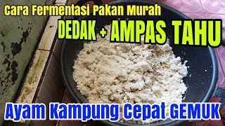 Cara Fermentasi Dedak dan Ampas Tahu Untuk Pakan Ayam [upl. by Cenac]