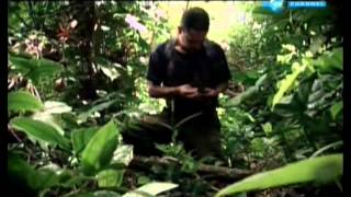 Fuga de las FARC Documental [upl. by Sadella787]