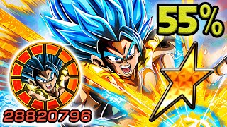 NO DUPES 55 NEW PHY LR GOGETA BLUE SHOWCASE Dragon Ball Z Dokkan Battle [upl. by Casey]