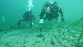 P8X Metal Detector  Training exercise for finding buried ammunition [upl. by Bergerac280]