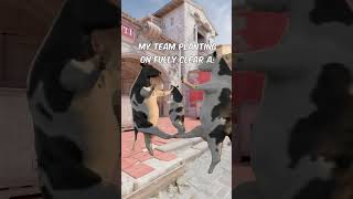 Best cs2 strategybitskins csgo cs2 csgomoments csgomemes counterstrike [upl. by Netsoj327]