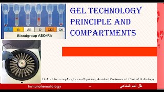 Lecture 21 Gel Technology Principle and compartments [upl. by Isman650]