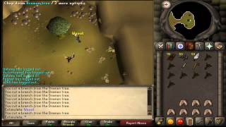 Oldschool Runescape Level 3 Skiller Does Lost City [upl. by Elirpa529]