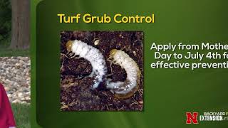 White Grub Control [upl. by Aicileb]