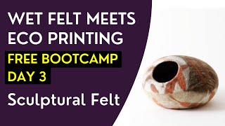 Wet Felt Meets Eco Printing Bootcamp  Day 3 [upl. by Annoek62]