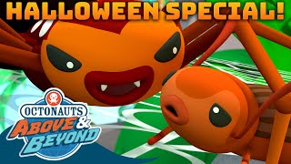 Octonauts Above amp Beyond  👻 Scary Creatures  🎃 Halloween Special  Compilation  Octonauts​ [upl. by Ahsinat]