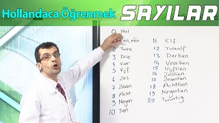 Hollandaca öğrenmekSayılar Sıfırdan Başlayarak learn dutch [upl. by Zillah215]