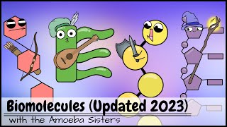 Biomolecules Updated 2023 [upl. by Paolina]