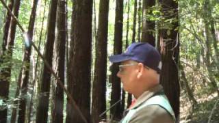 Craig Blencowe on Jackson Forest Harvest Plan [upl. by Aver739]