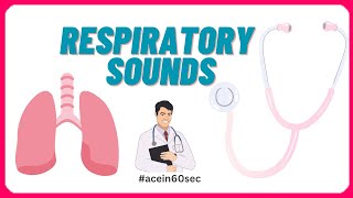 Respiratory Sounds  Abnormal Breath sounds acein60sec clinical [upl. by Eniluap]