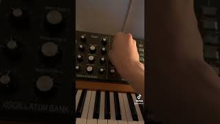 Original Dioma Melody on the Behringer Poly D by JNATHYN jnathyn synthesizer polysynth synth [upl. by Miarfe373]