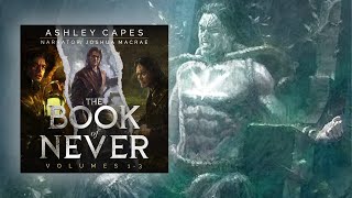 The Book of Never Books 13 — a Full Epic Fantasy Audiobook [upl. by Wilmott]