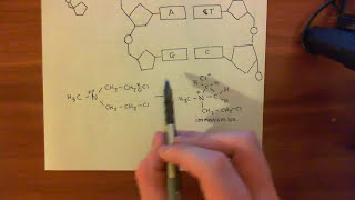 The Nitrogen Mustards Part 3 [upl. by Anila]