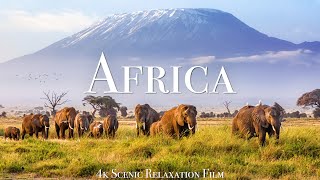 Africa 4K  Scenic Relaxation Film With African Music [upl. by Adalard]