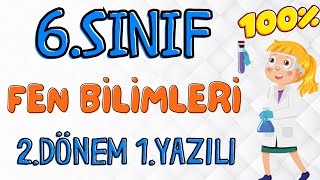 6 Sınıf FEN Bilimleri 2 Dönem 1 Yazılı ❗AÇIK UÇLU 🧑‍🏫2024 [upl. by Reinold]