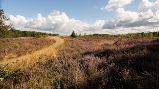 Op wandel in De Maten tussen Diepenbeek en Genk [upl. by Clark102]