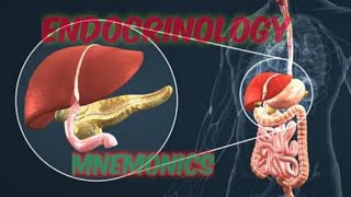 Endocrinology mnemonics part 33 complete endocrinology mnemonics medicalmnemonics786 [upl. by Argile]