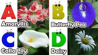 Flowers Alphabet Song  Flowers ABC Song  A to Z Flowers Names  Phonics for Kids [upl. by Arnold]