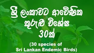 ශ්‍රී ලංකාවට අවේණික කුරුළු විශේ‍ෂ 30ක් List of endemic birds of Sri Lanka [upl. by Adlanor541]