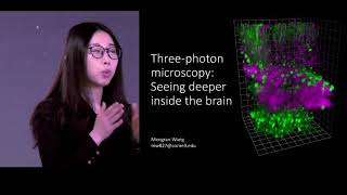 Mengran Wang presents at Cornells 2018 Three Minute Thesis Competition [upl. by Rebmit]