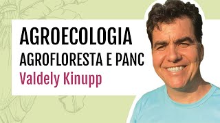 Agroecologia Agrofloresta e PANC  Valdely Kinupp [upl. by Barney649]