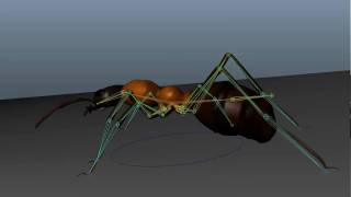 ant 3d walkcycle playblast [upl. by Oile]