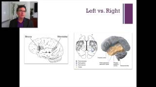 35 Lecture5 The Temporal Lobe [upl. by Balcke987]