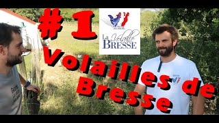 S1E01  La Volaille de Bresse [upl. by Dnalon]