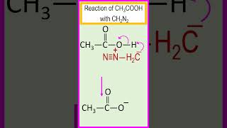 Reaction of acetic acid CH3COOH with diazomethane CH2N2 chemistry [upl. by Bander]