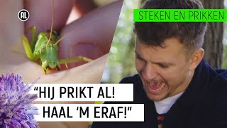 JURRE WORDT GEBETEN DOOR EEN SPRINKHAAN  Steken en Prikken 6  NPO Zapp [upl. by Leiruh]