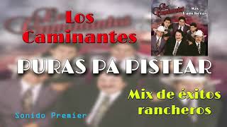 MIX LOS CAMINANTES RANCHERAS PA PISTEAR SABROSO [upl. by Fevre]